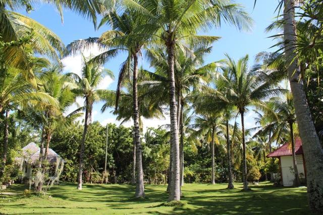 White Beach Oceanfront House Villa Moalboal Exterior foto