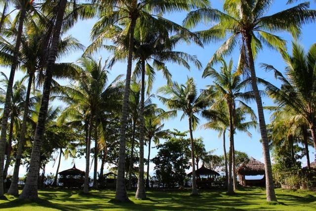 White Beach Oceanfront House Villa Moalboal Exterior foto