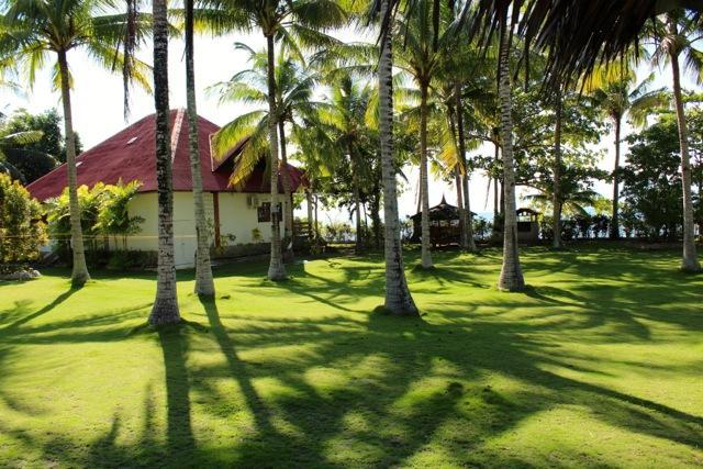 White Beach Oceanfront House Villa Moalboal Exterior foto